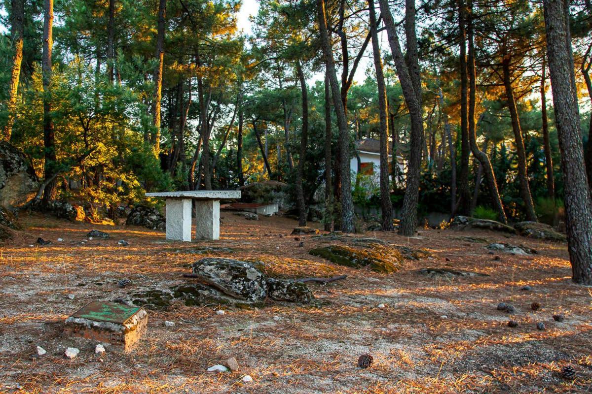 Casa Cadalso, Mirador De Gredos, Madrid Guest House Cadalso de los Vidrios Екстериор снимка